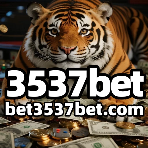 3537bet